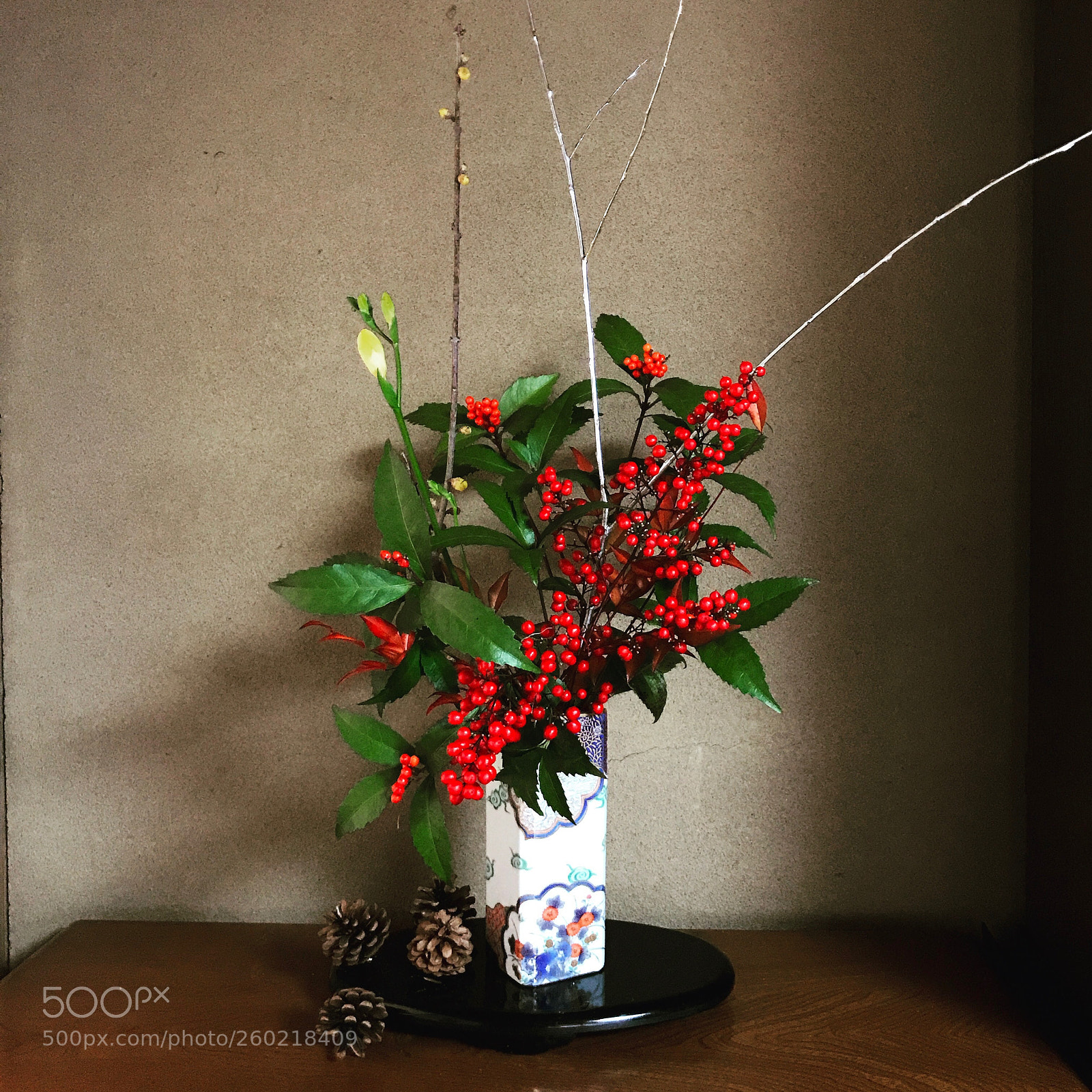 Apple iPhone 7 sample photo. New year flower arrangements  photography