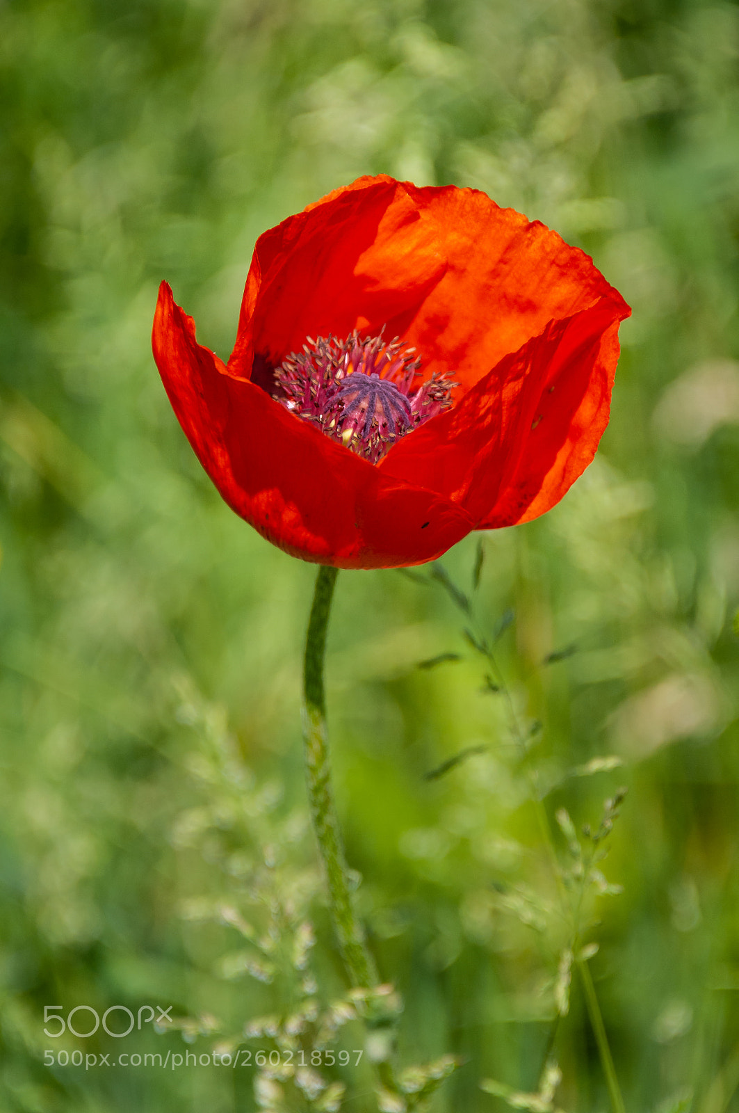 Nikon D300S sample photo. Yesterday ... on the photography