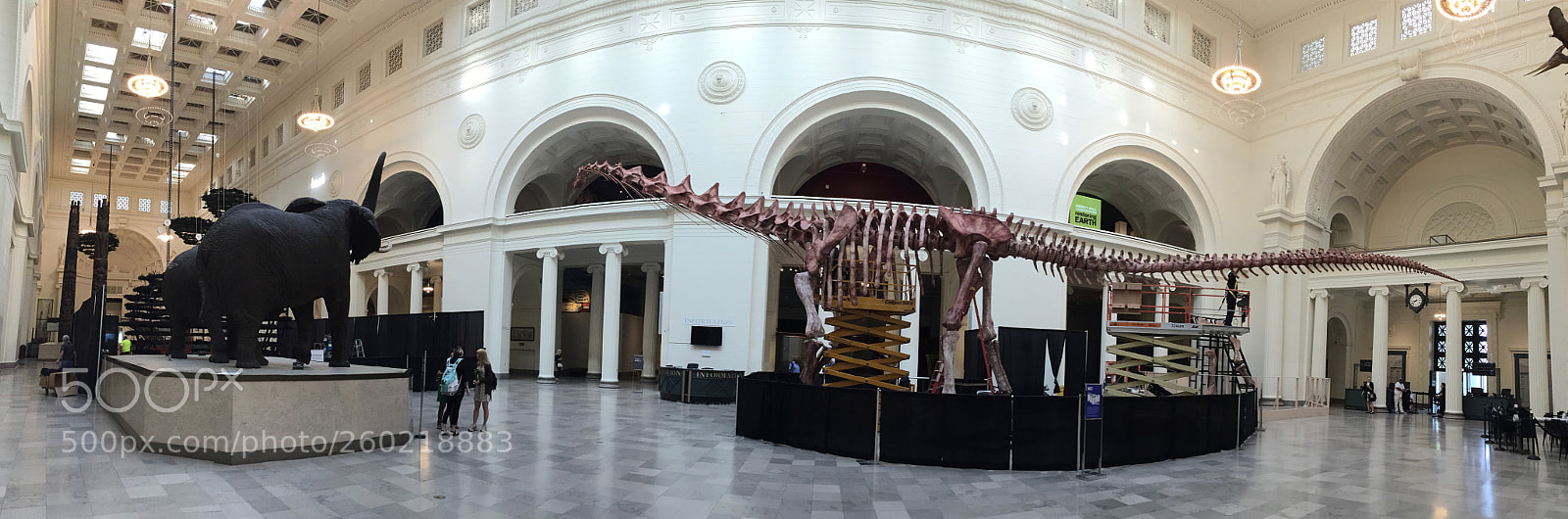 Apple iPhone 6 sample photo. M ximo the titanosaur photography