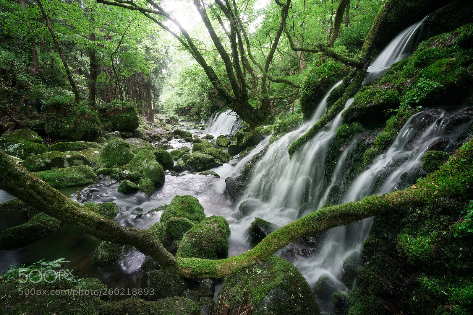 Sony a7R II sample photo. Famous photography