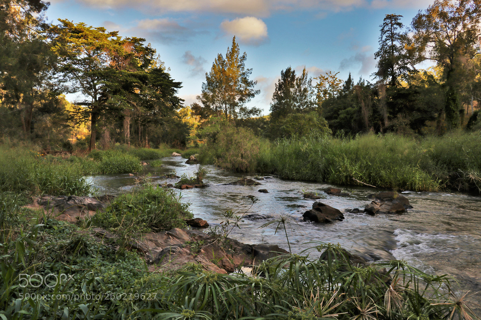 Canon EOS 80D sample photo. Upstream photography