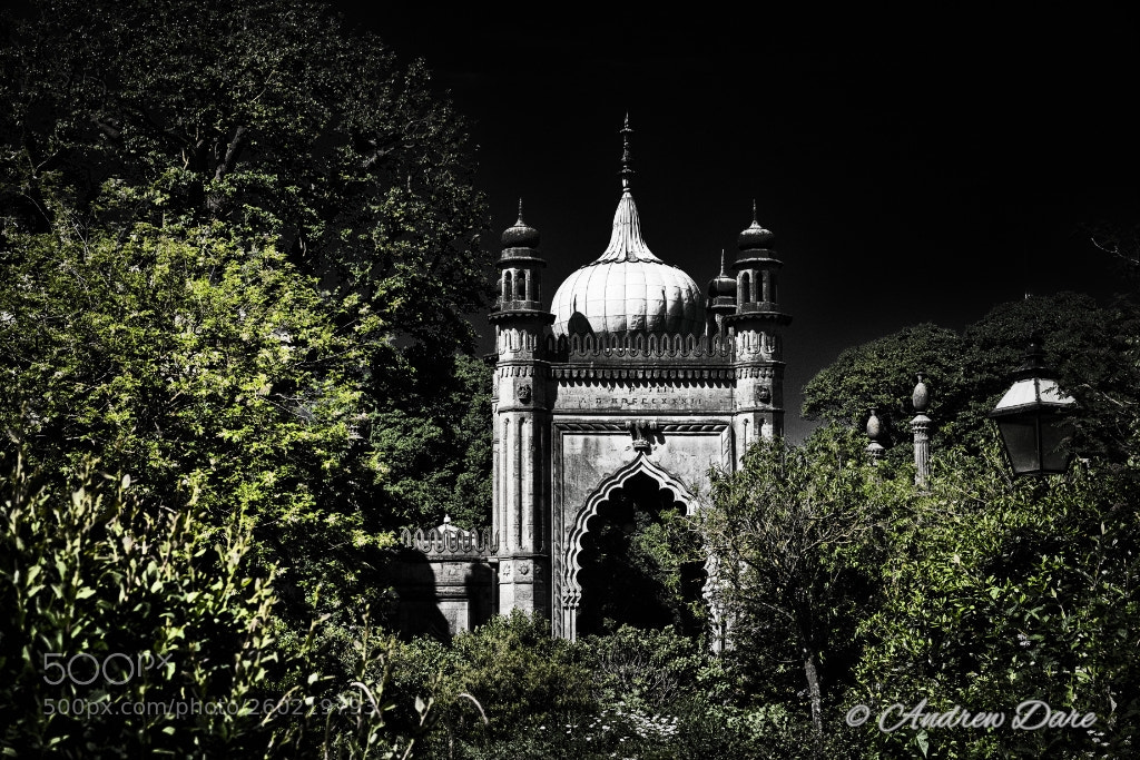 Nikon D810 sample photo. Brighton pavilion photography