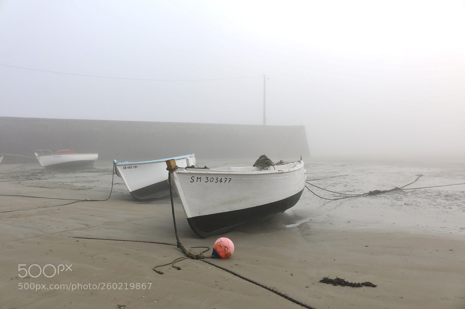 Canon EOS 70D sample photo. Misty vision photography
