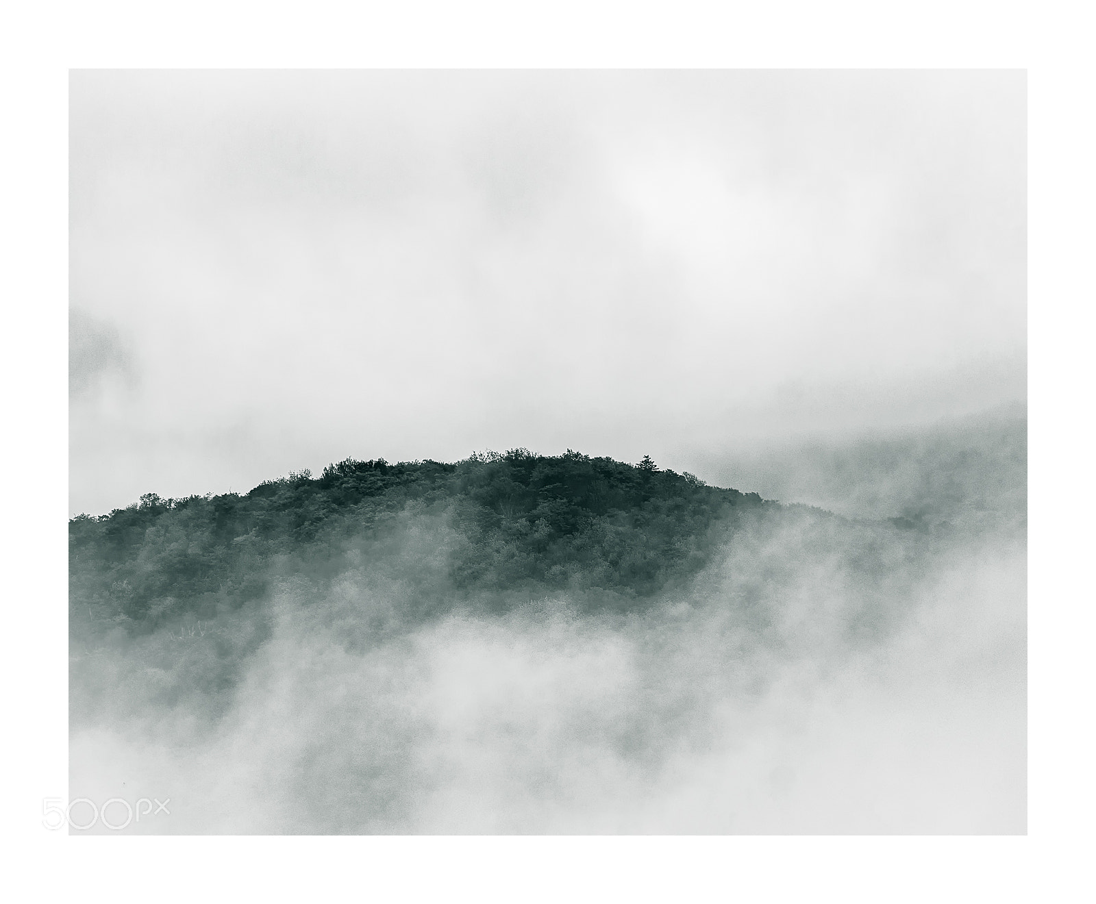 Nikon D300 sample photo. Forest hill photography