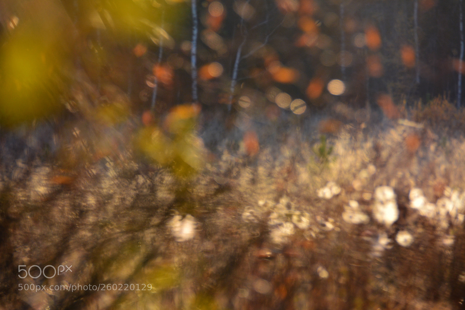 Nikon D7100 sample photo. Warmth of decay #2 photography