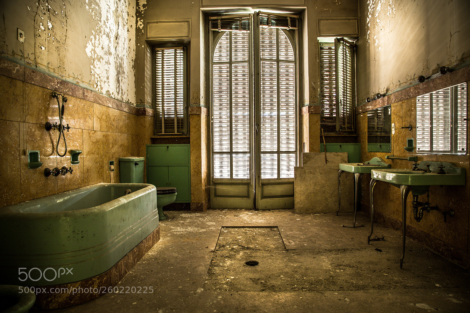 Canon EOS 6D sample photo. Green decay photography