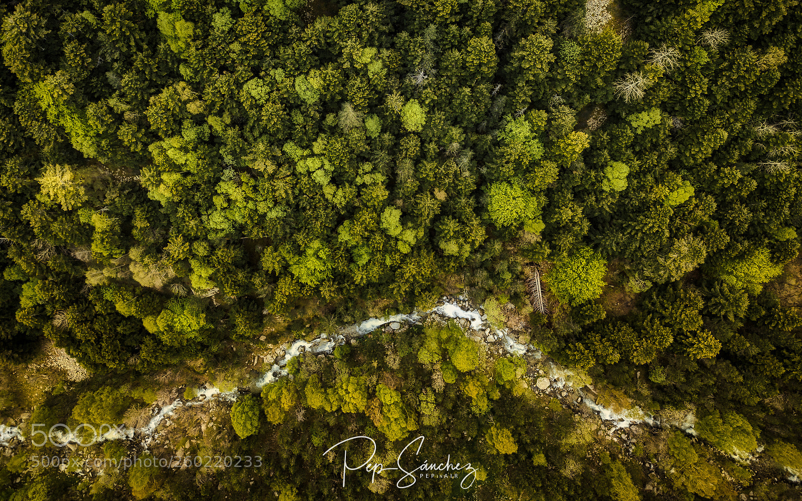 DJI FC220 sample photo. In the river photography