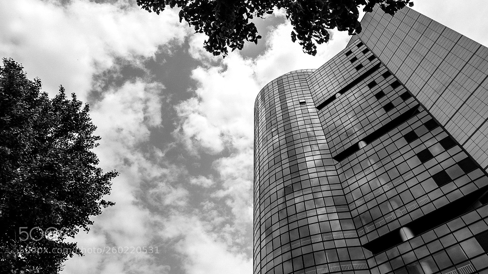 Fujifilm X-T20 sample photo. Untitled photography