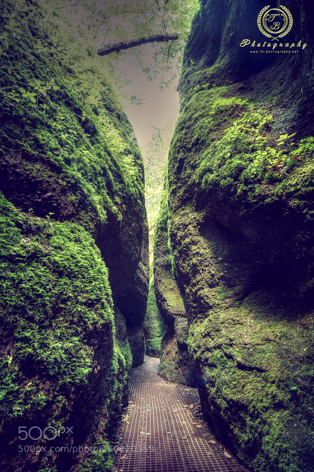 Nikon D800 sample photo. Die drachenschlucht photography