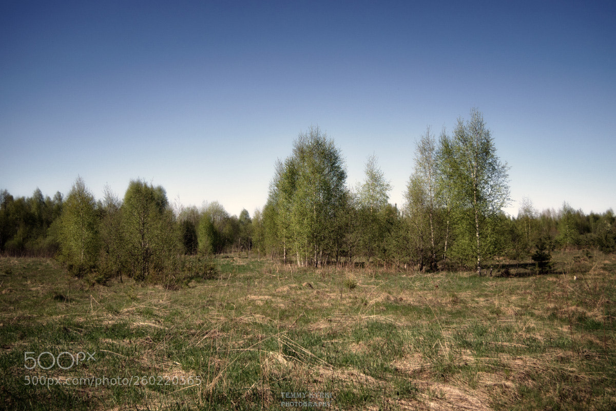 Olympus OM-D E-M1 sample photo. Landscape photography