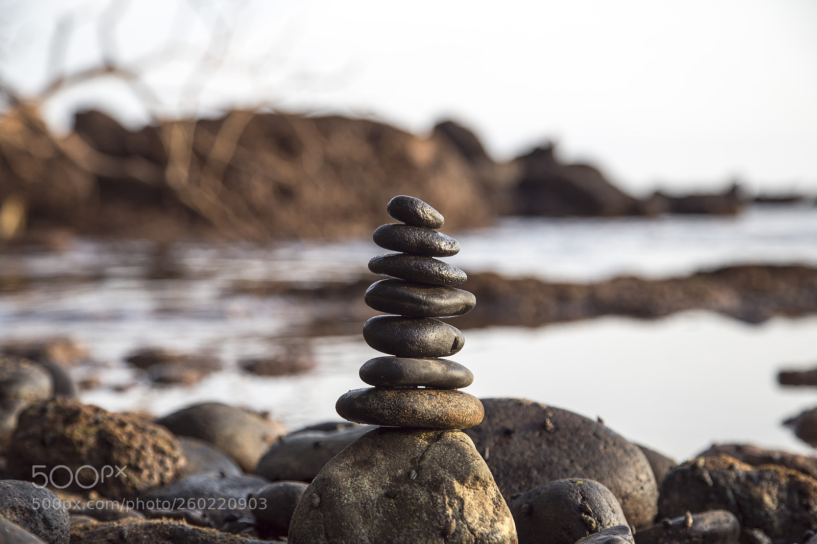 Canon EOS 6D sample photo. Tower photography