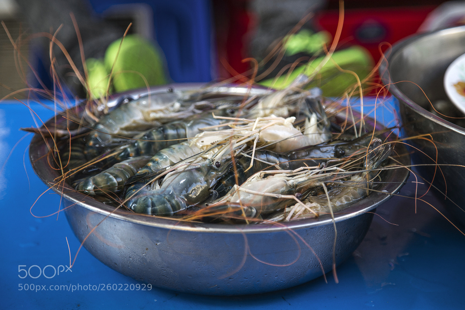 Canon EOS 6D sample photo. Fresh catch photography
