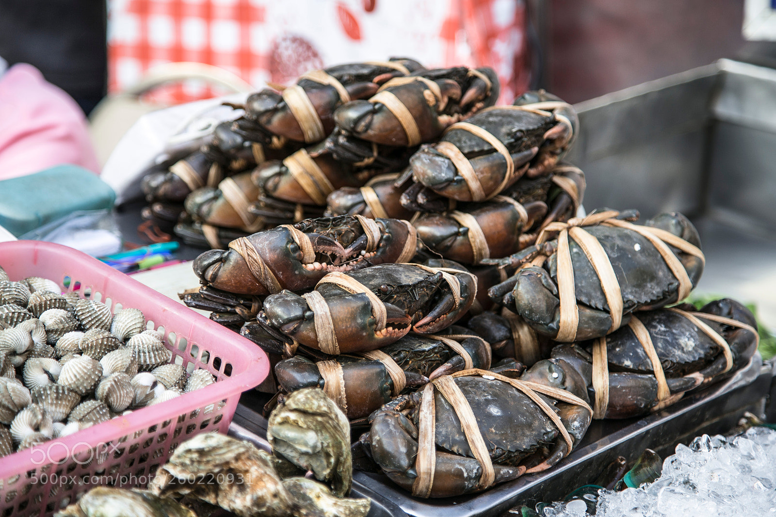 Canon EOS 6D sample photo. Fresh crabs photography