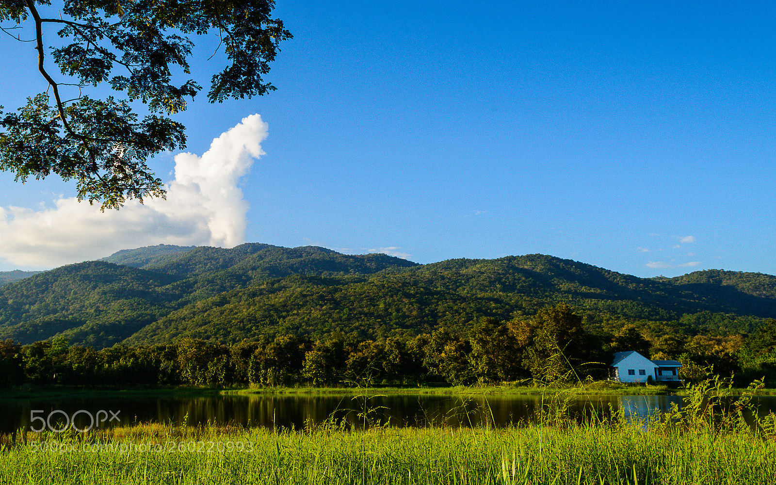 Nikon D7100 sample photo. "the green lake. photography