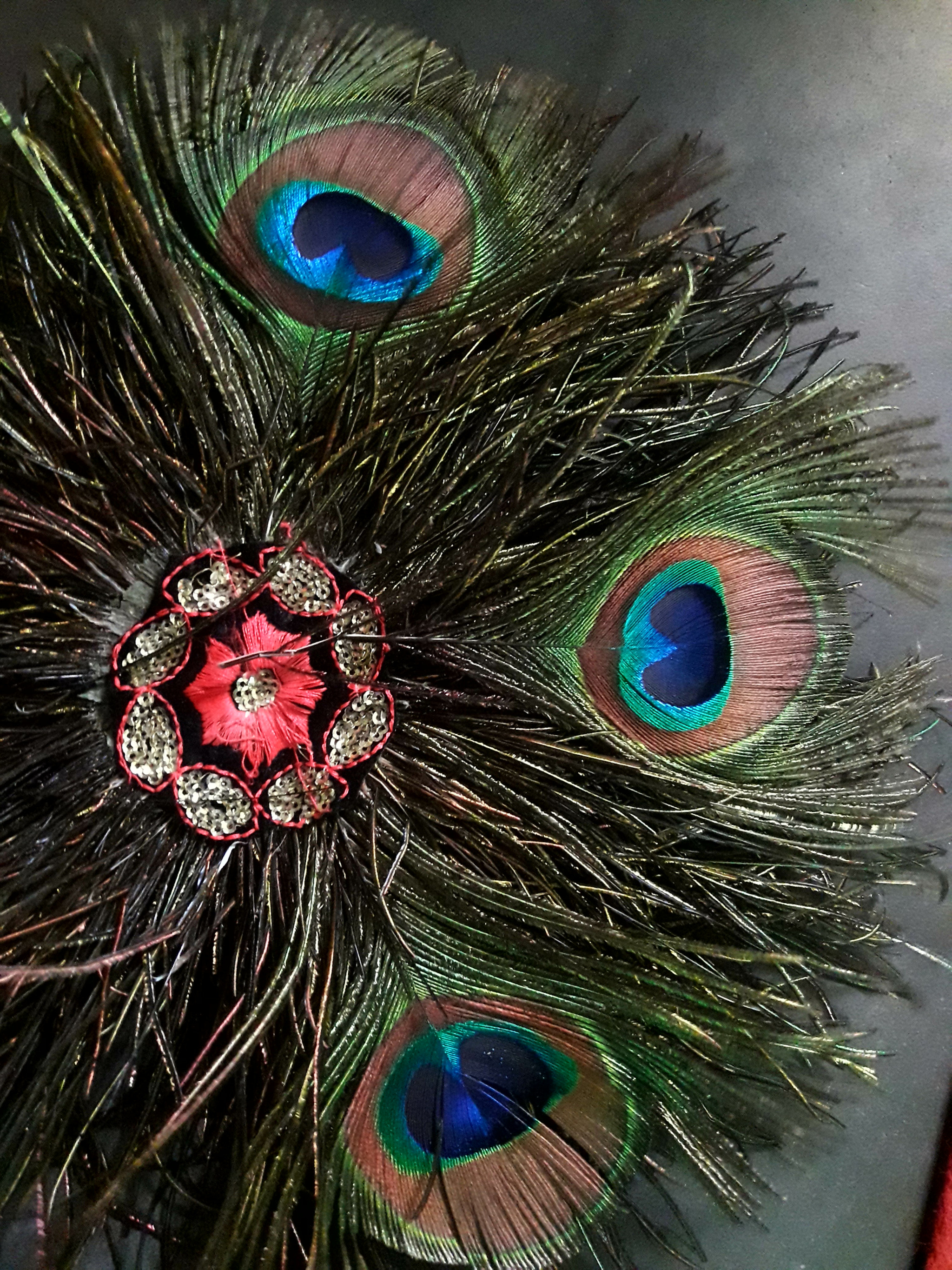 Samsung Galaxy J7 Neo sample photo. Peacock fan photography