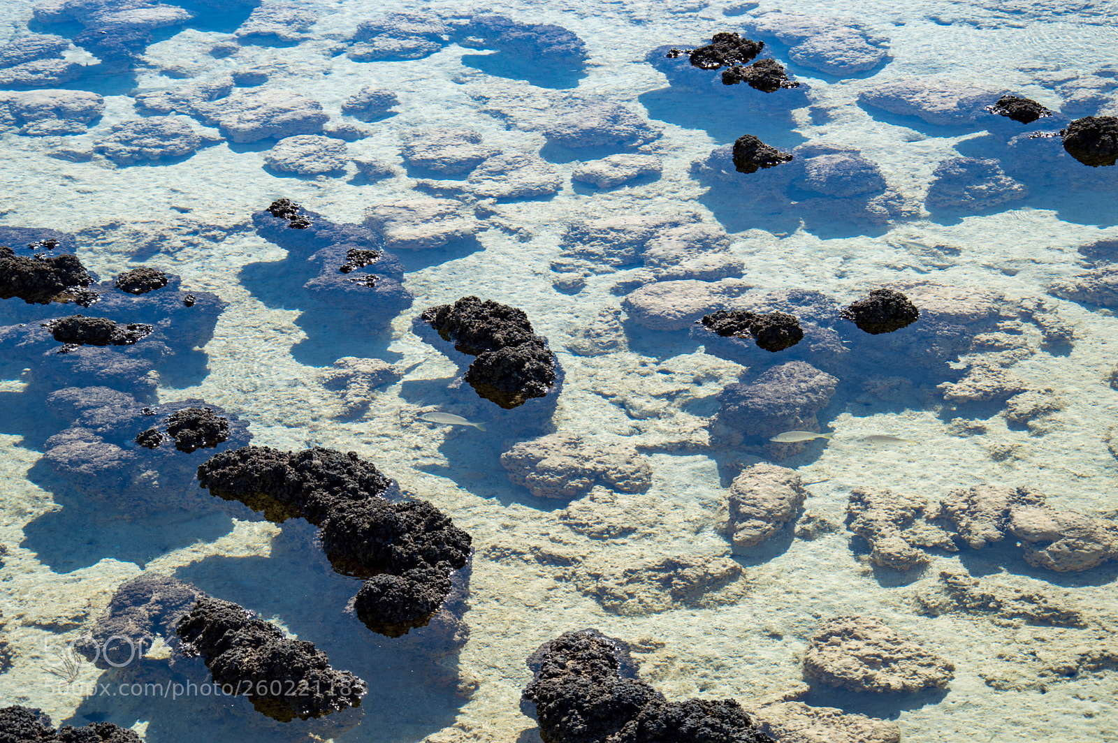 Nikon D3200 sample photo. Hamelin pool 01 photography