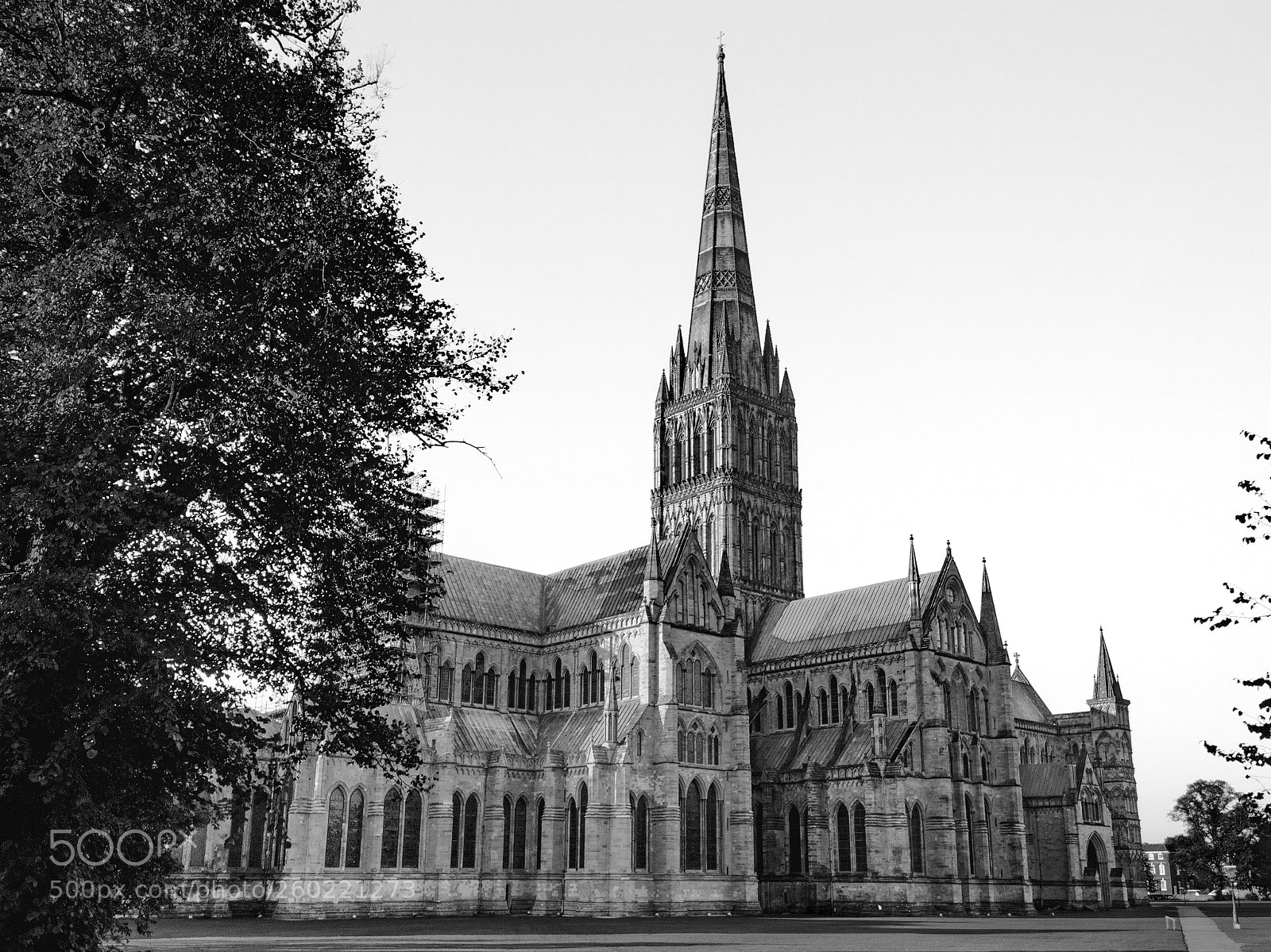 Canon EOS 750D (EOS Rebel T6i / EOS Kiss X8i) sample photo. Salisbury cathedral bw photography