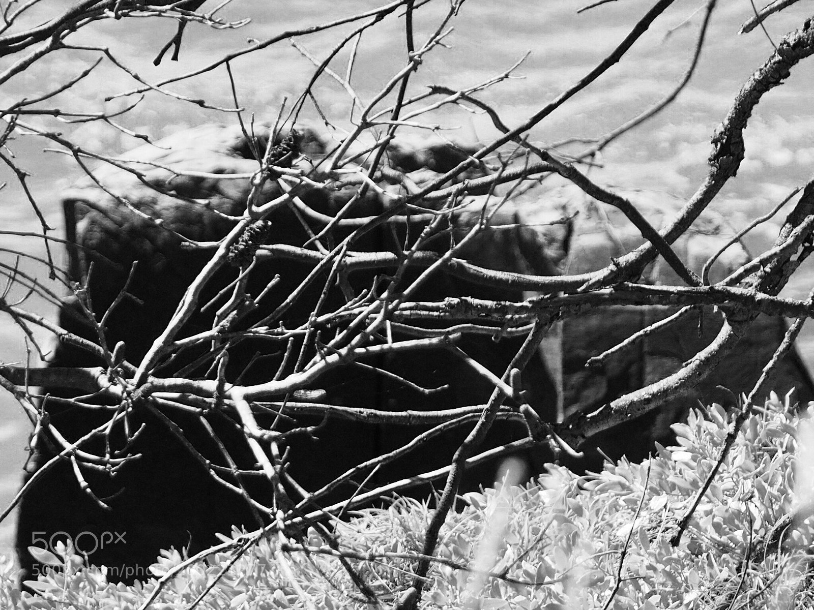 Olympus OM-D E-M10 sample photo. Sticks photography