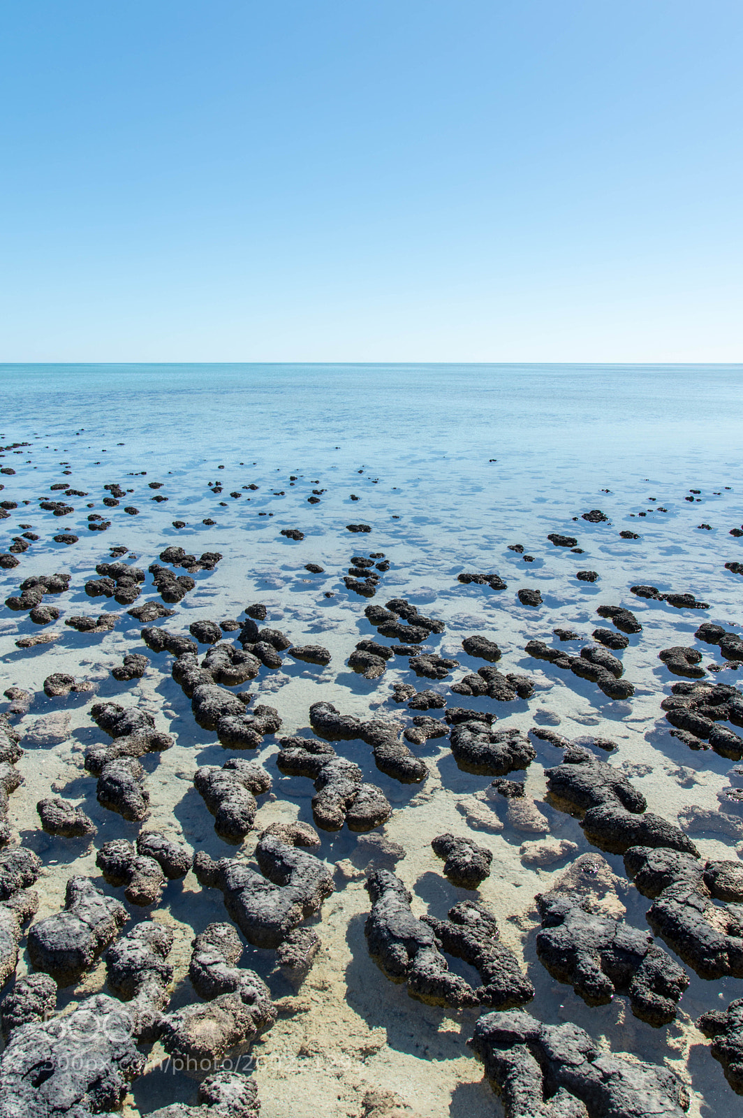 Nikon D3200 sample photo. Hamelin pool 02 photography