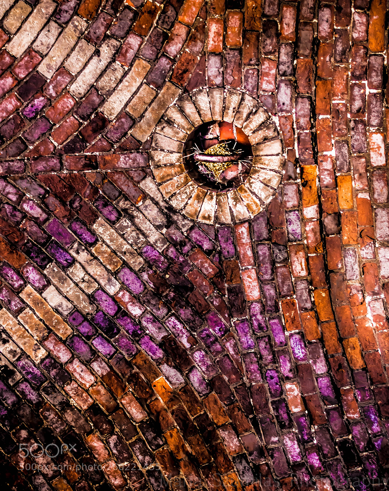 Nikon D7100 sample photo. The glory's vault photography