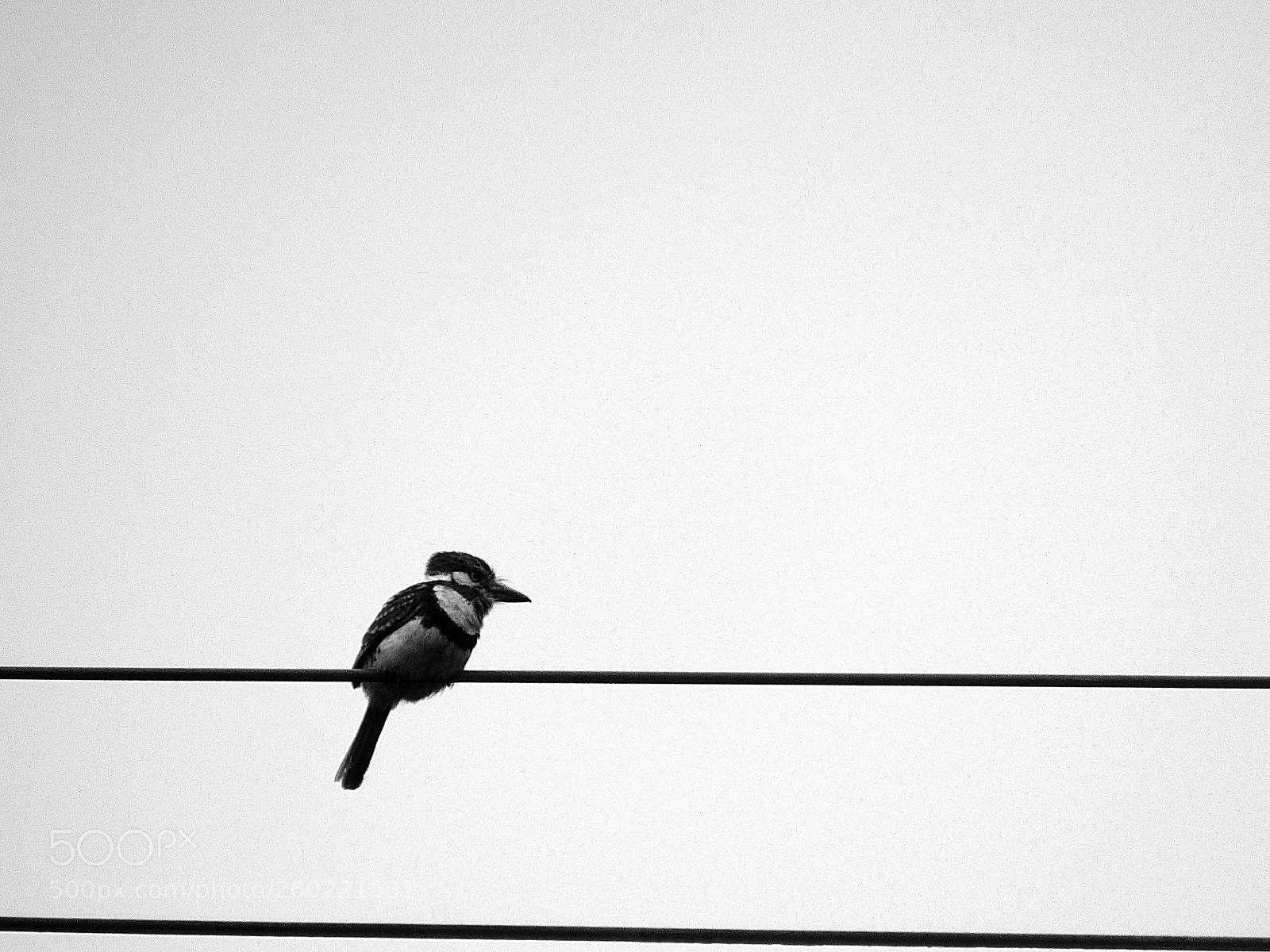 Canon PowerShot SX410 IS sample photo. Untitled photography