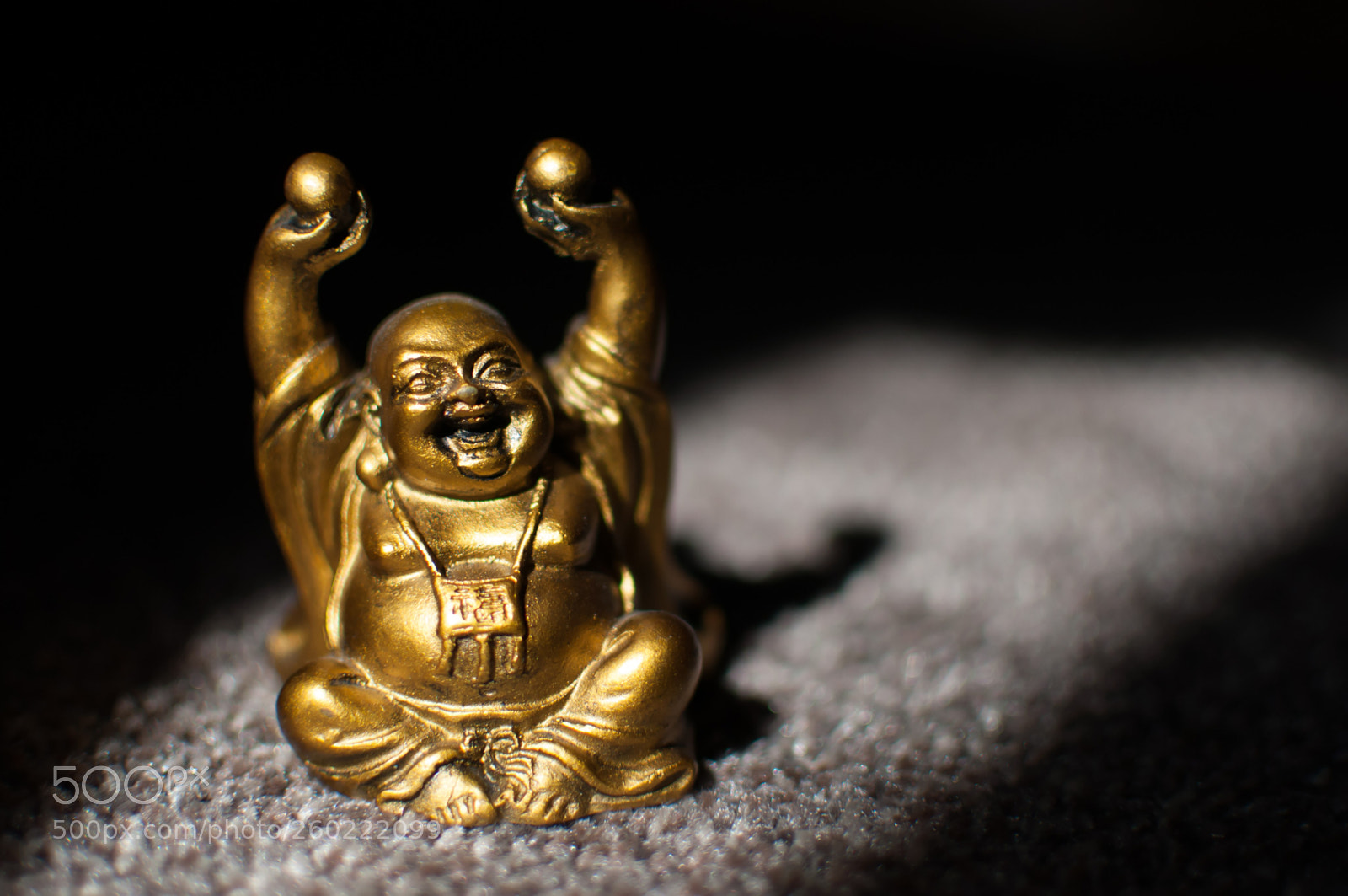 Nikon D90 sample photo. Buddha photography