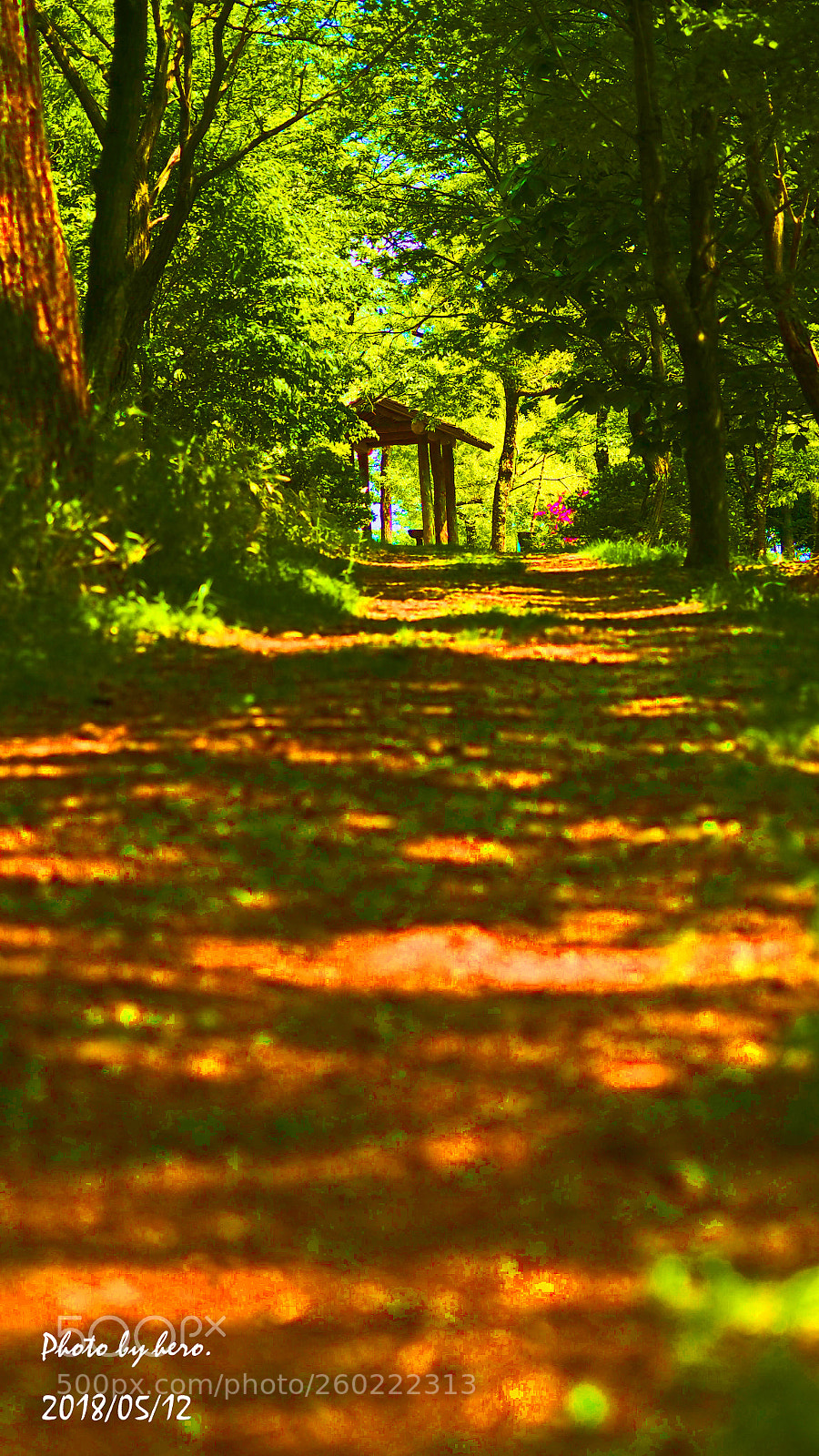 Olympus OM-D E-M10 sample photo. Small adventure photography