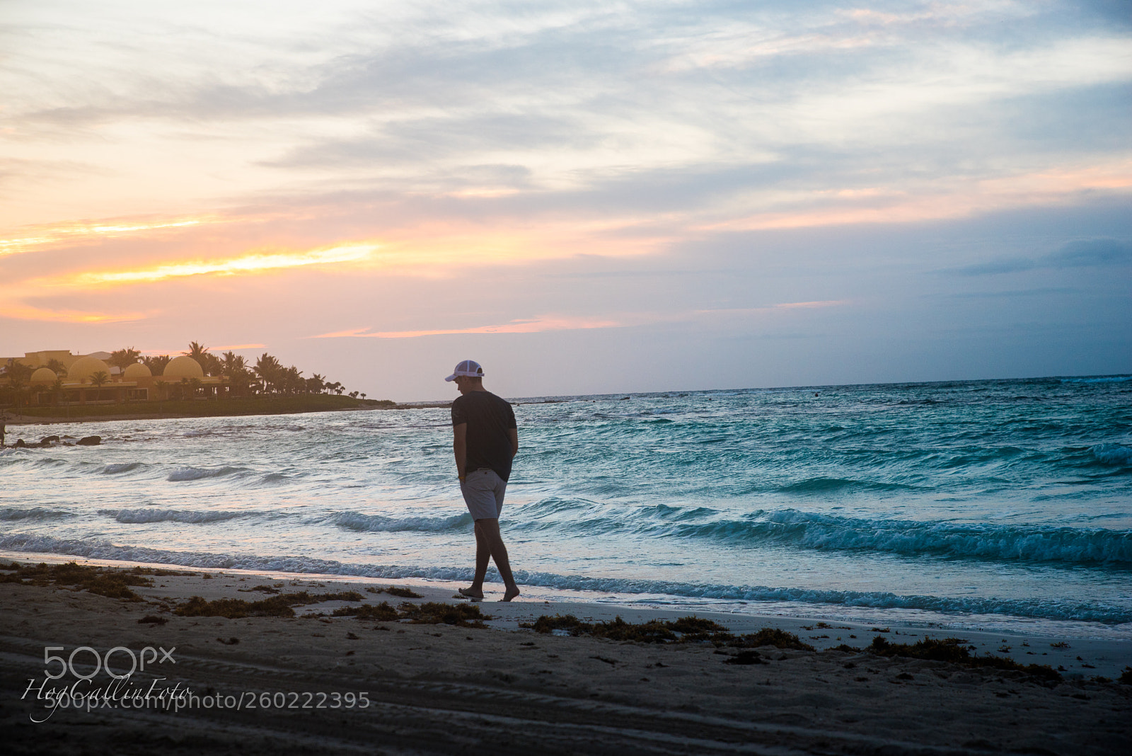 Nikon D750 sample photo. Morning walks on the photography