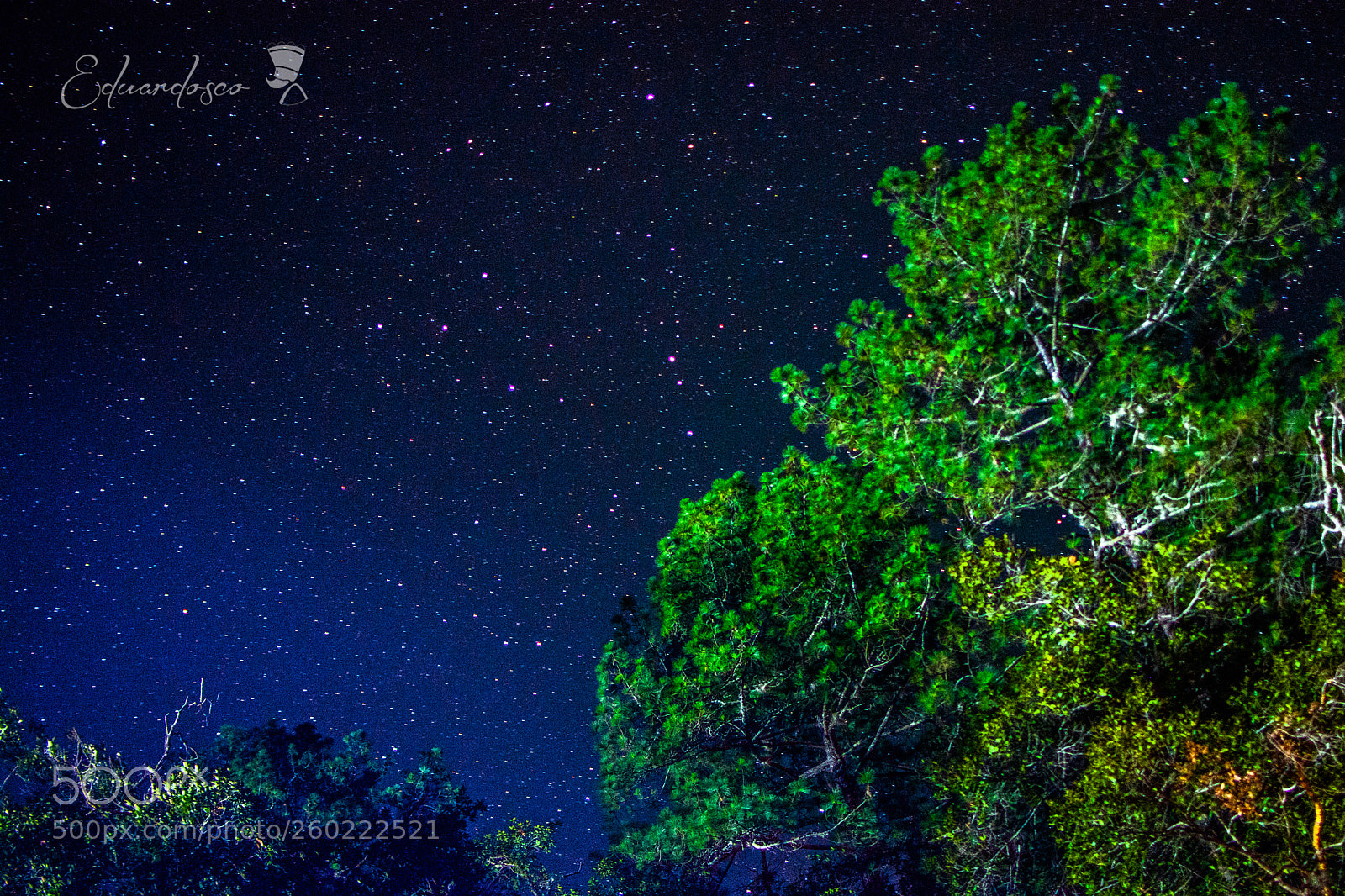 Nikon D7100 sample photo. Star night photography