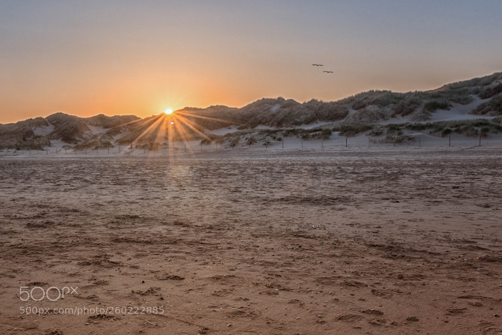 Canon EOS 80D sample photo. Sunrise callantsoog photography