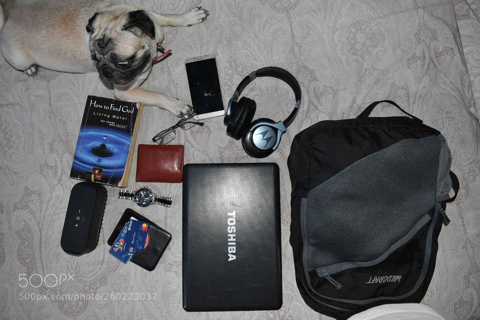 Nikon D3400 sample photo. All set for a photography