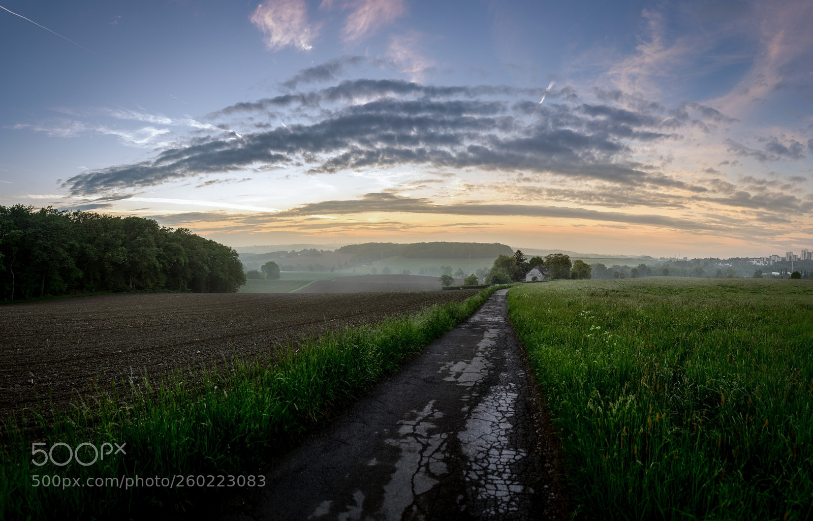 Sony a7 II sample photo. Frankholzhäuschen walk photography