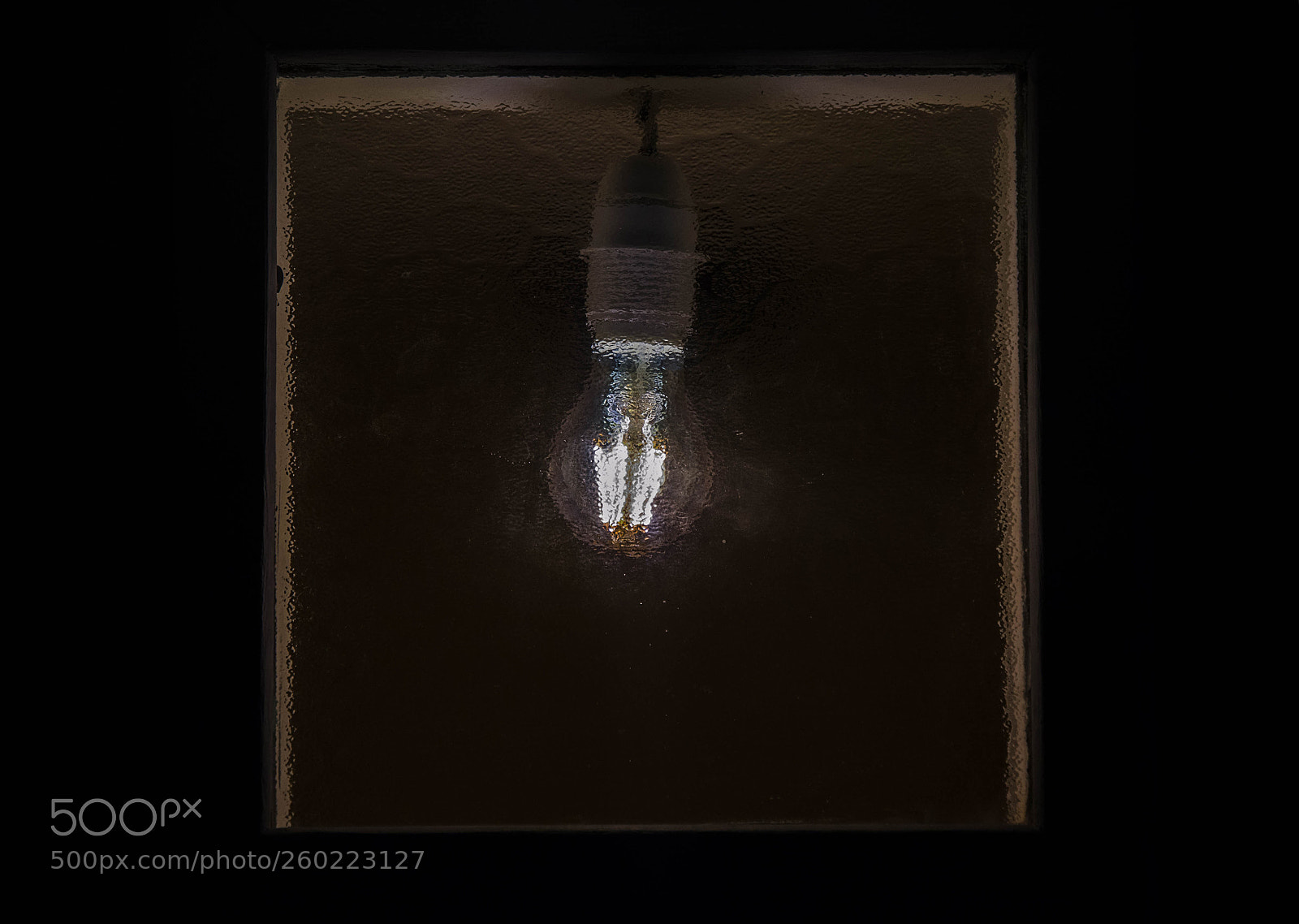Nikon D7000 sample photo. Trapped photography