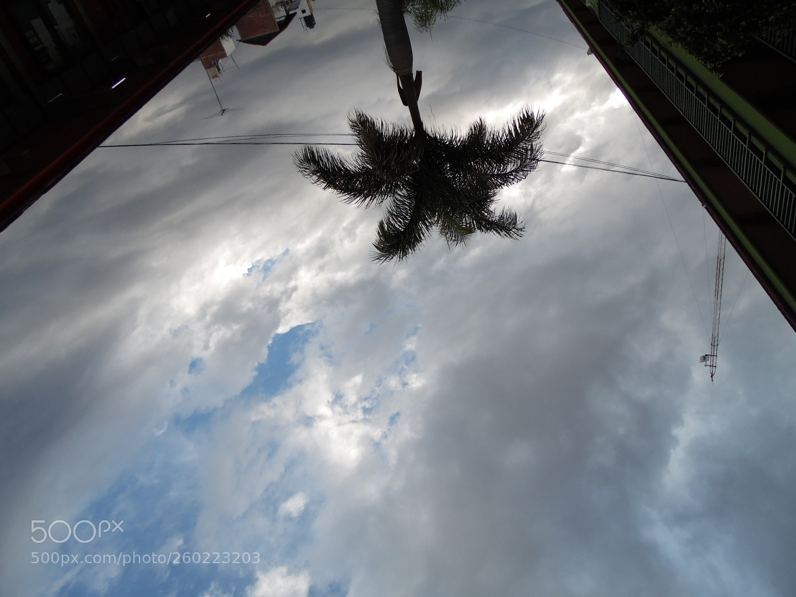 Samsung WB1100F/WB1101F/WB1102F sample photo. Reverse reality photography
