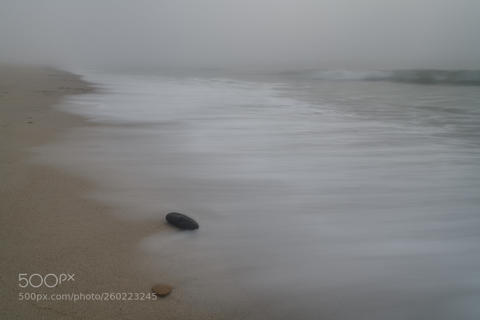 Nikon D850 sample photo. Foggy morning at the photography