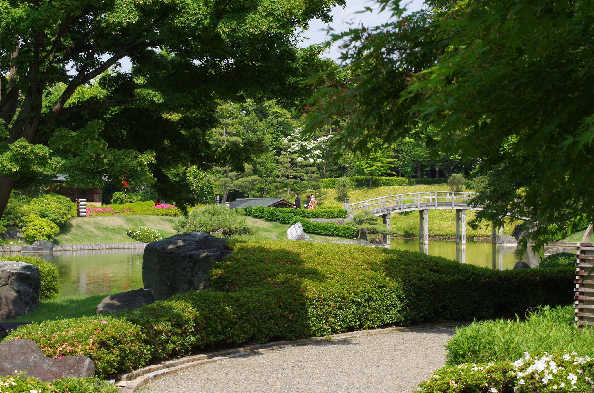 Pentax K-30 + Pentax smc DA* 55mm F1.4 SDM sample photo. Japanese-style wedding photography