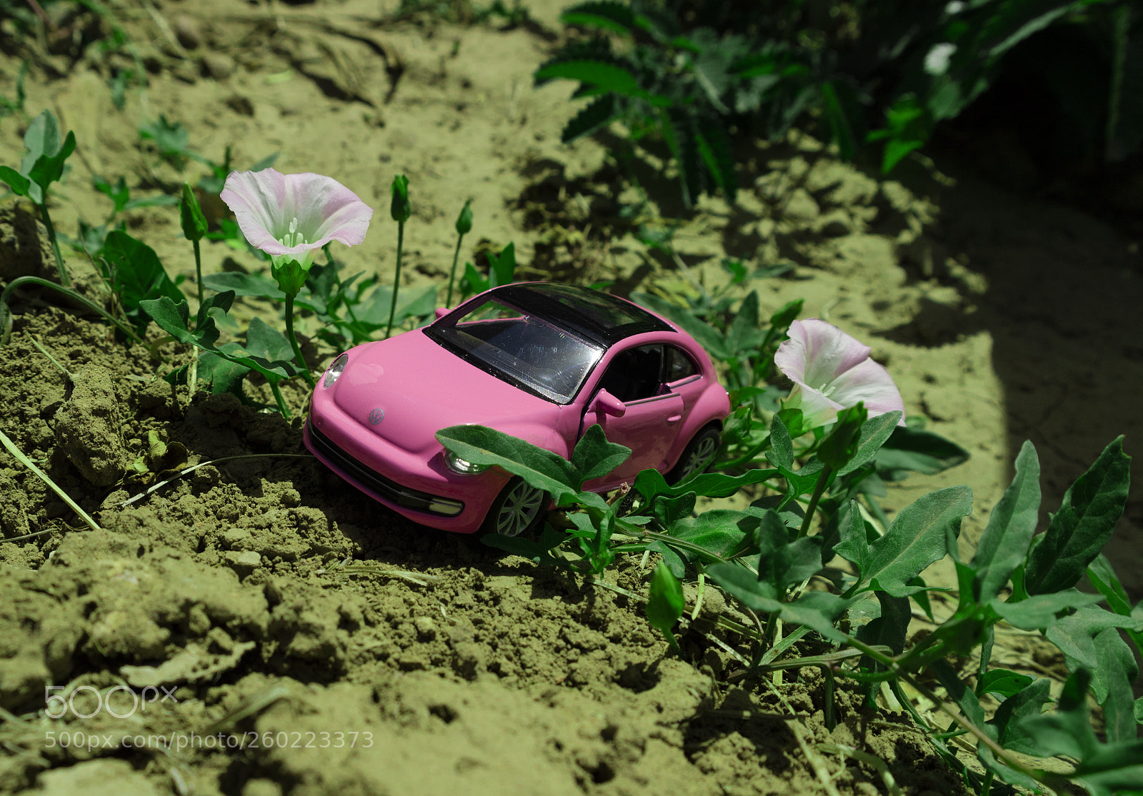 Canon EOS M3 sample photo. Shy photography