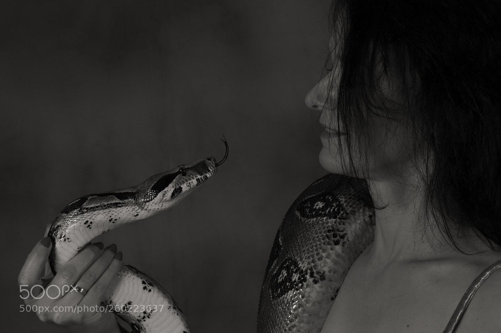 Canon EOS 7D Mark II sample photo. A snake photography