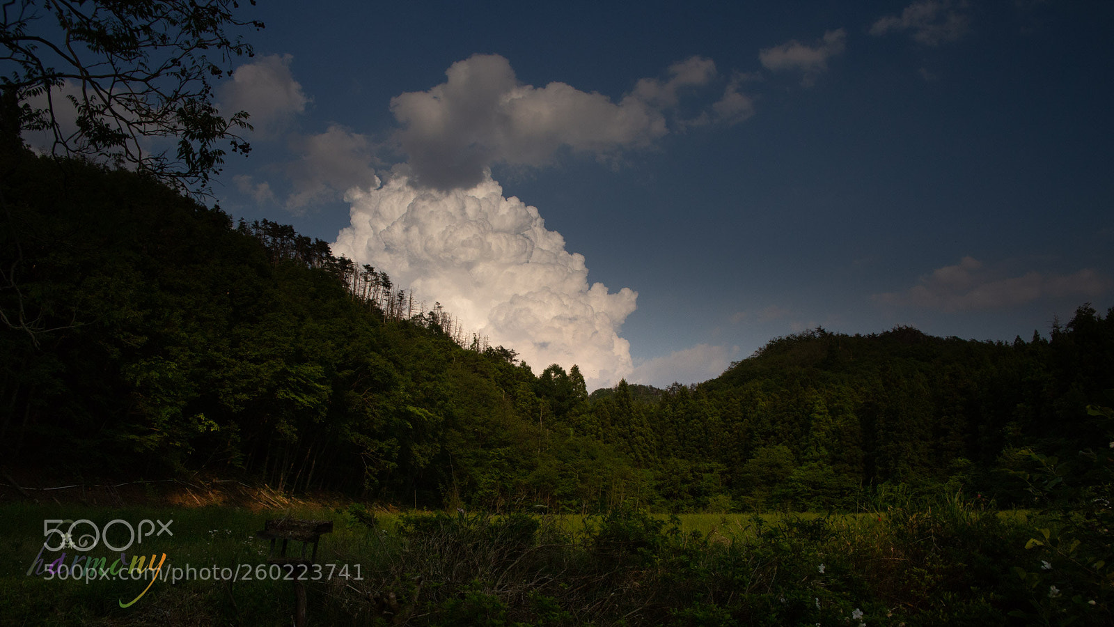 Canon EOS 6D sample photo. White cloud over the photography