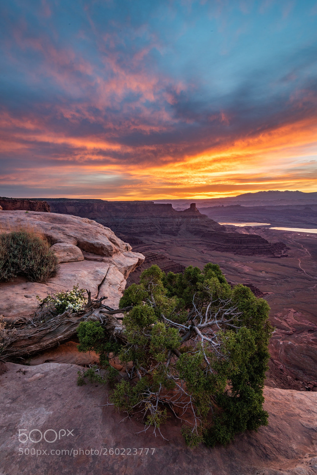 Nikon D810 sample photo. Sunrise at dead horse photography