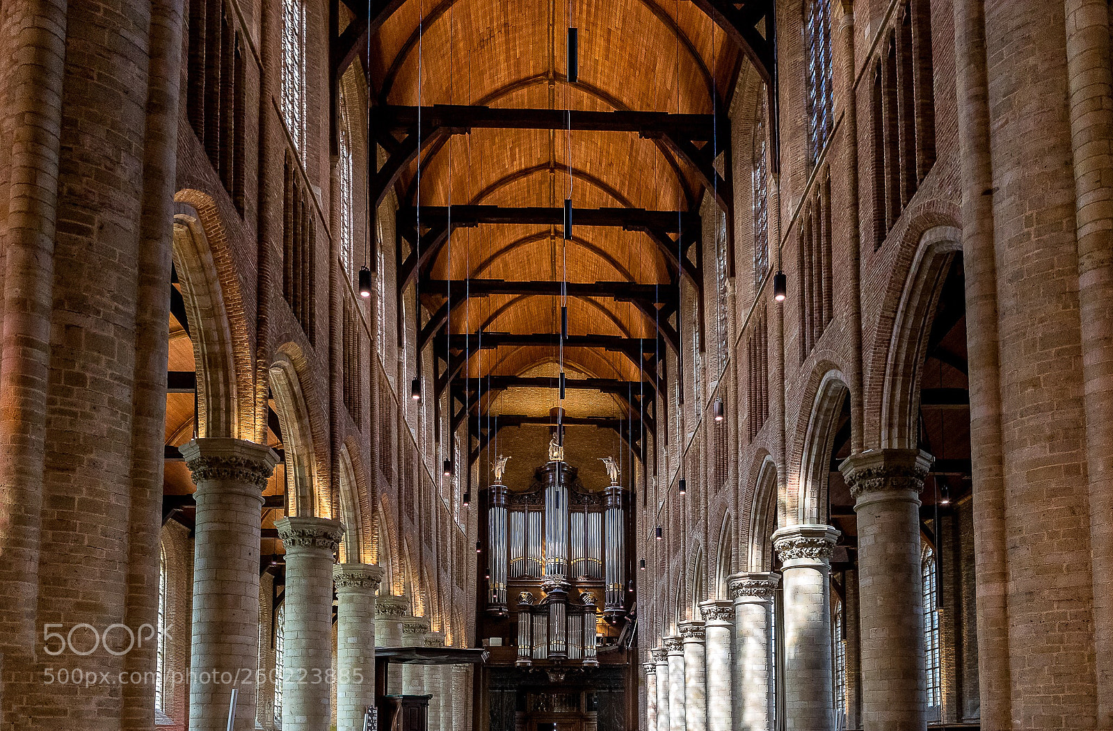 Canon EOS-1D X Mark II sample photo. The new church of photography