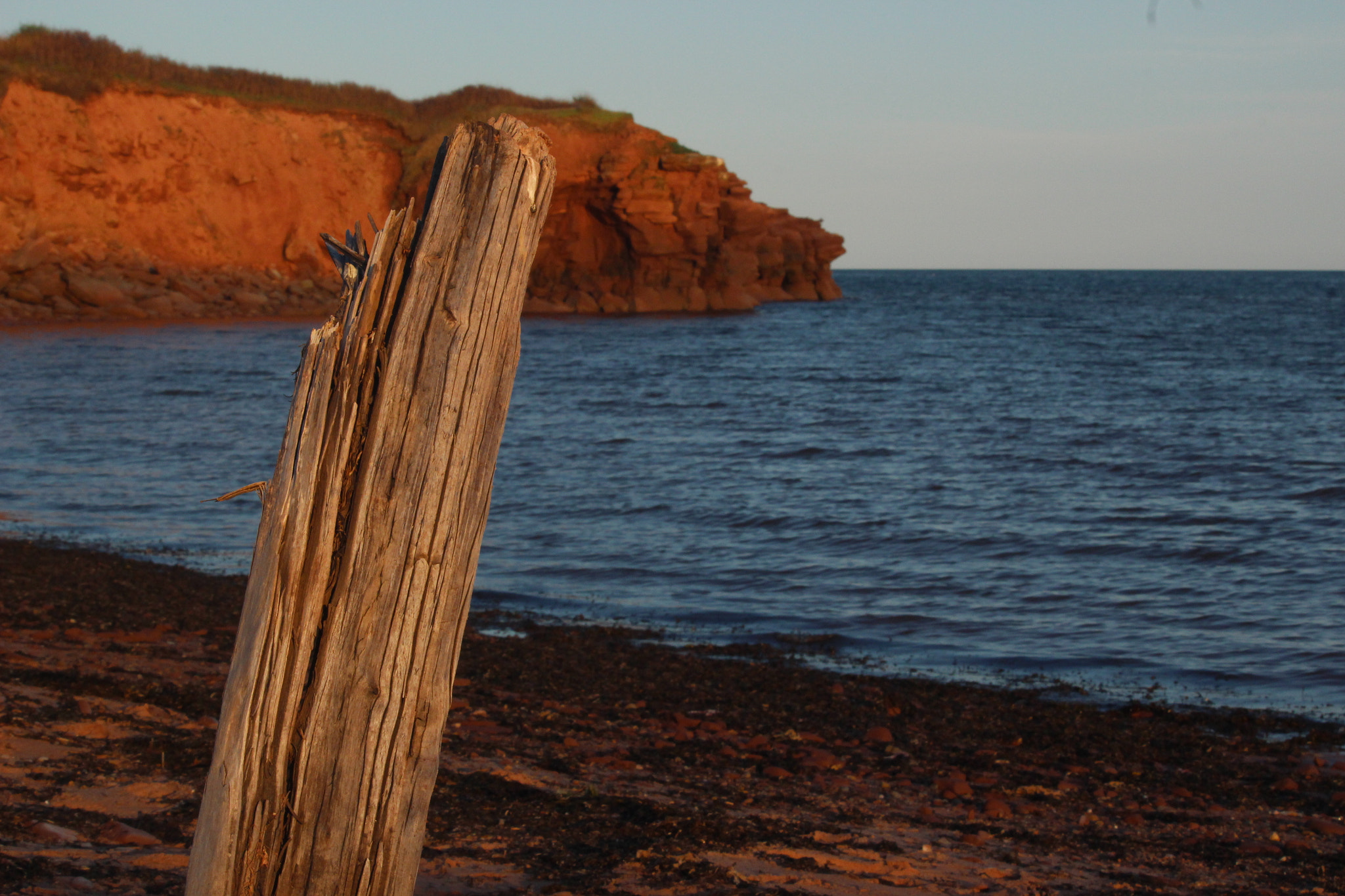 Canon EOS 100D (EOS Rebel SL1 / EOS Kiss X7) + Canon EF-S 55-250mm F4-5.6 IS STM sample photo. Prince edward island coastline photography