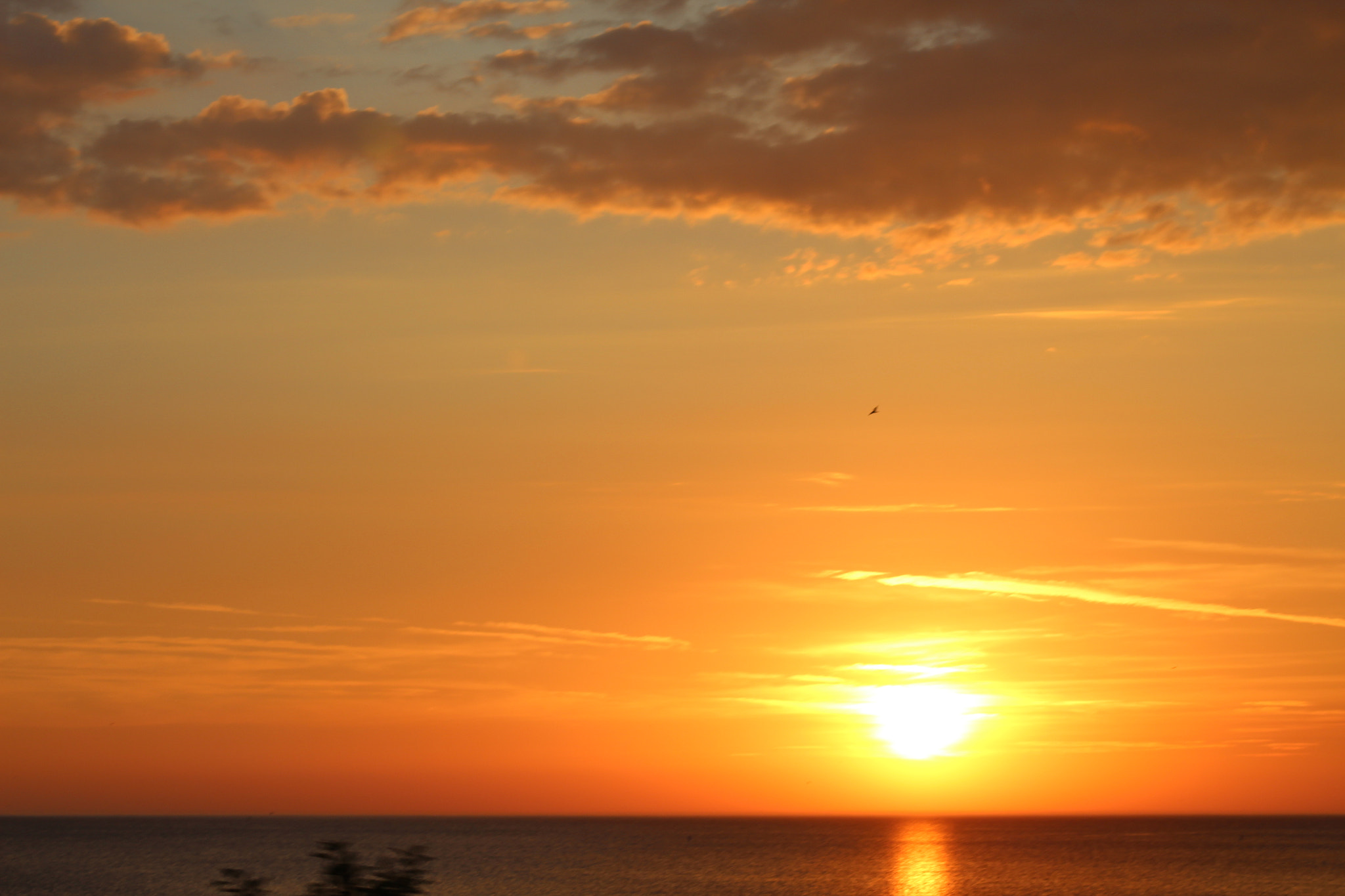 Canon EF 75-300mm f/4-5.6 sample photo