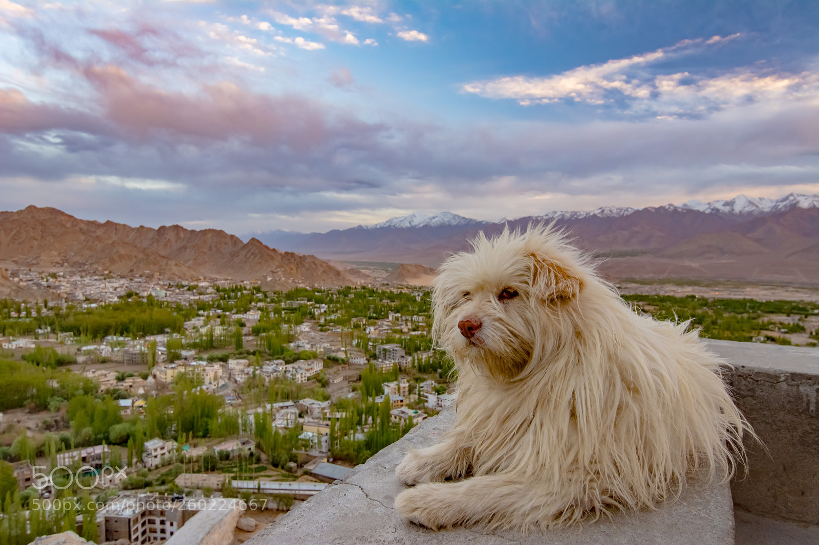 Nikon D7100 sample photo. Guardian of the mountains photography