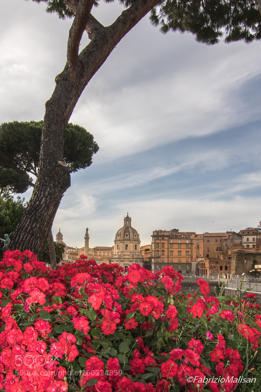 Canon EOS 7D Mark II sample photo. A postcard from rome photography