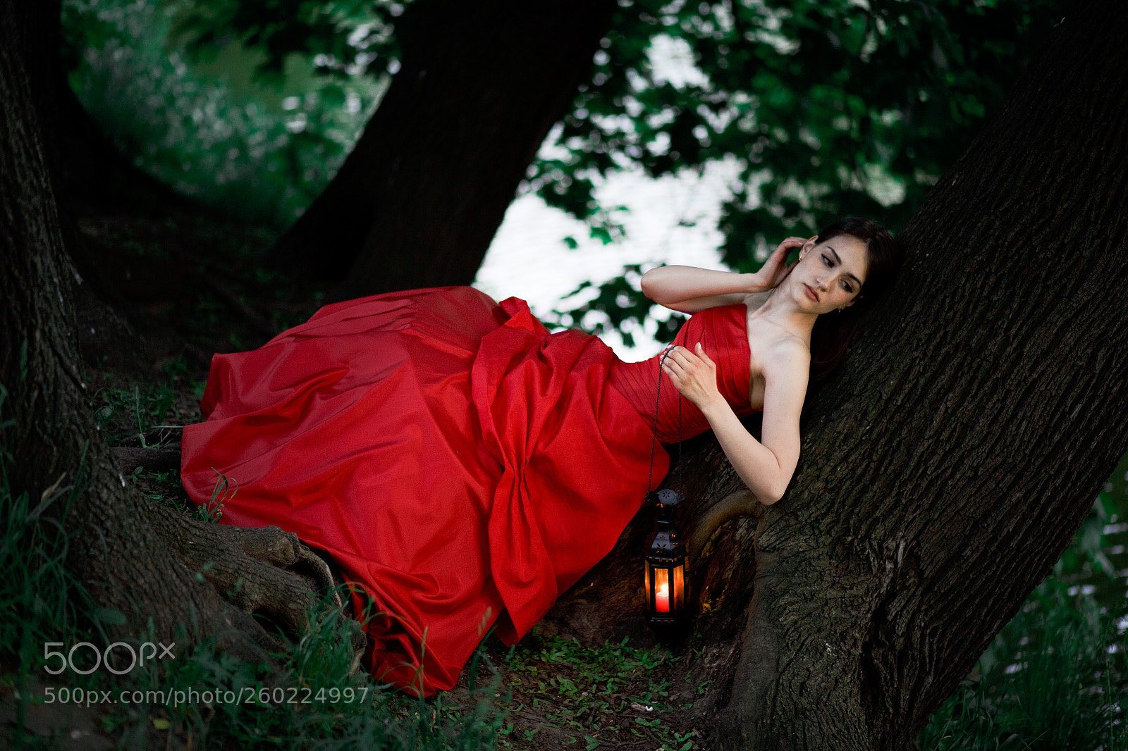 Canon EOS 6D sample photo. Detachment photography