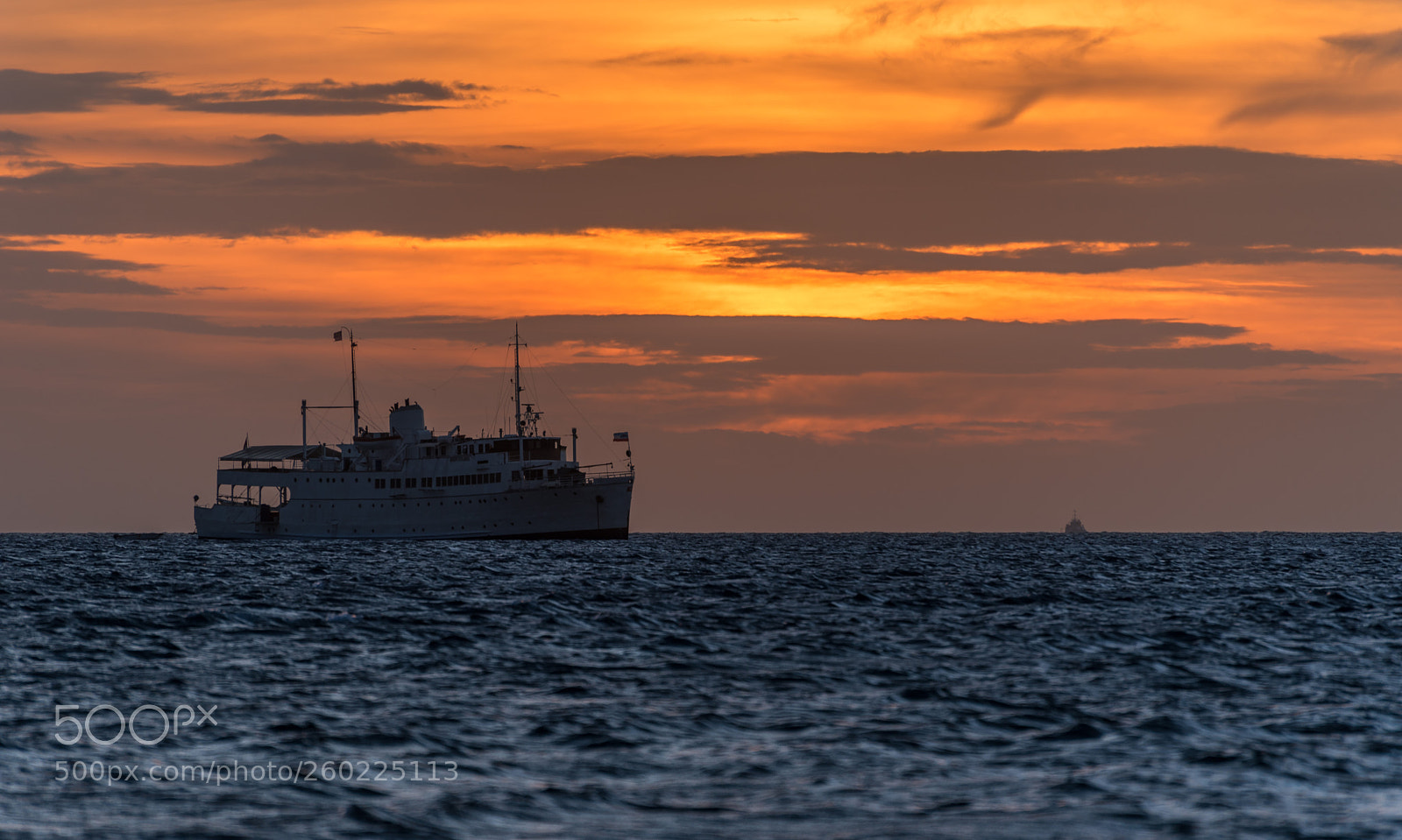 Nikon D750 sample photo. Sunset zoom photography