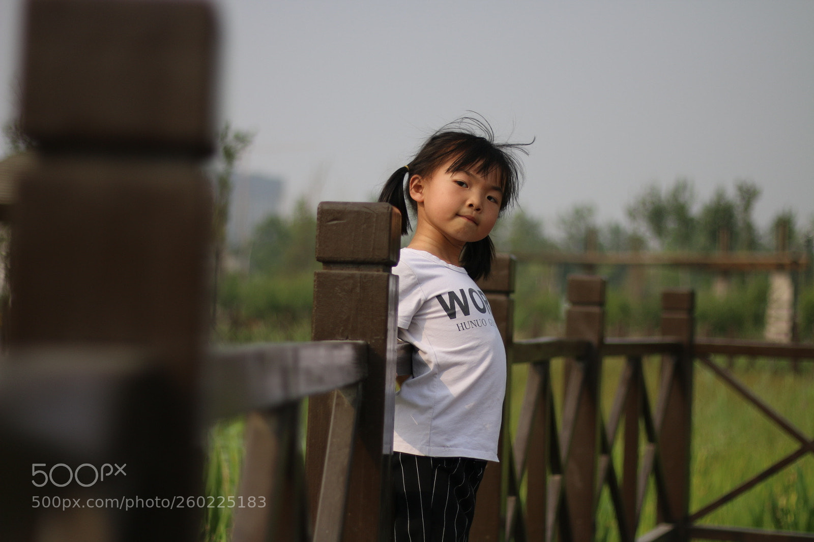 Canon EOS 70D sample photo. Untitled photography