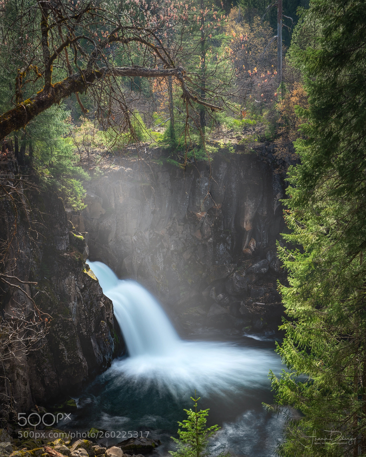 Sony a7R III sample photo. Mccloud falls - upper photography