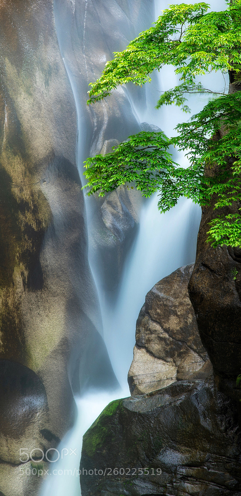 Nikon D750 sample photo. Spring falls photography